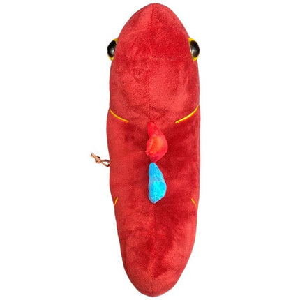 Deluxe Kidney with Kidney Stone