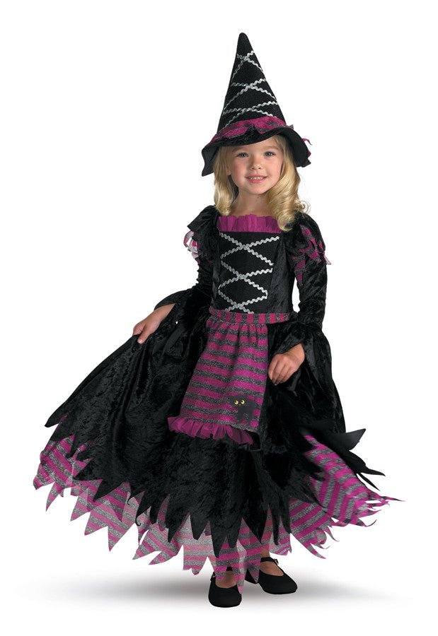 Fairytale Witch Toddler Costume