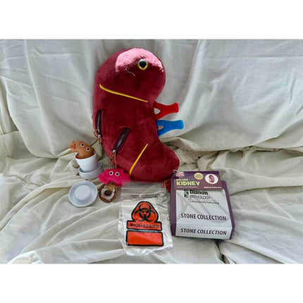Deluxe Kidney with Kidney Stone