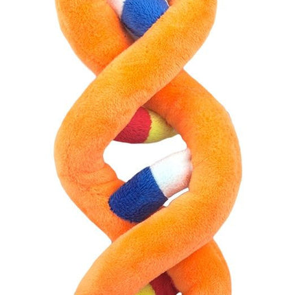 DNA- Front View