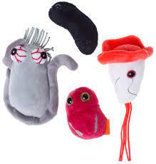 large Zombie Virus plus mini Flesh Eating, Brain-Eating Amoeba, and Black Death