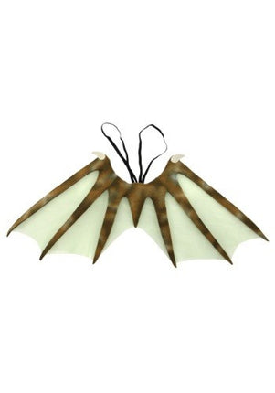 Dragon Wings- outside view