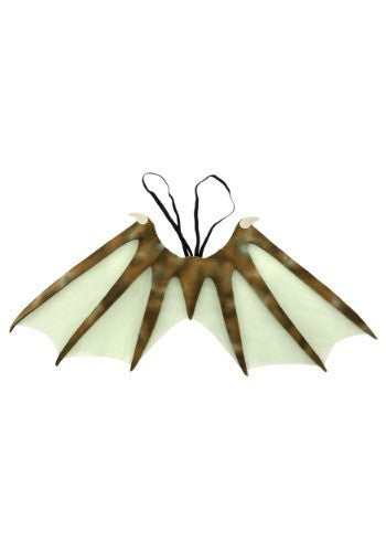 Dragon Wings- outside view