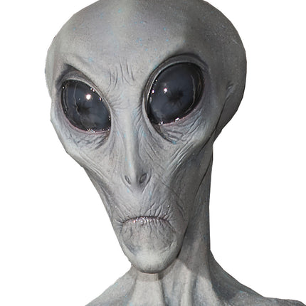 Close-up of alien prop head