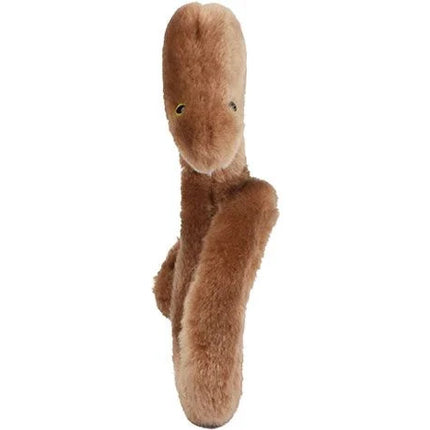 Ebola Virus- Side View Facing Face