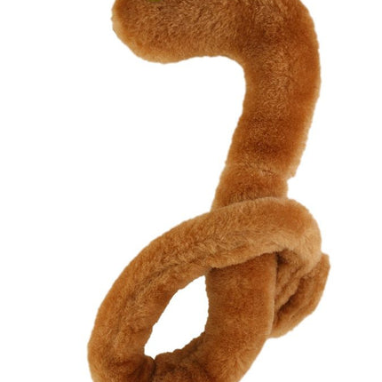 Ebola Virus- Angled View