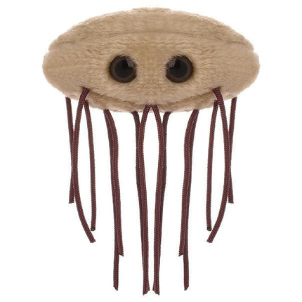 E. Coli- Front View