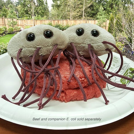 E. Coli- On Raw Hamburger Meat- Fun Photo