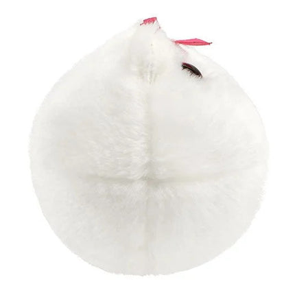 Egg Cell- Side View