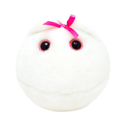 Egg Cell- Front View