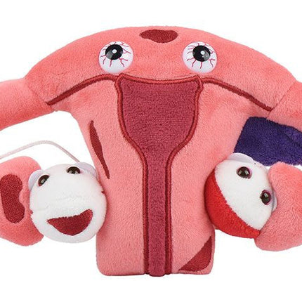 Endometriosis- front view