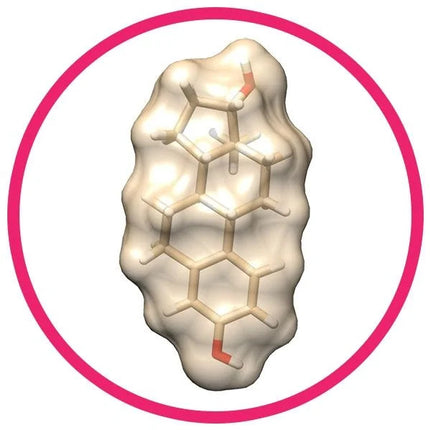 Estrogen- Molecule