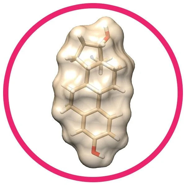 Estrogen- Molecule
