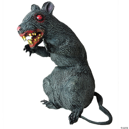 Sitting Evil Rat- angled view
