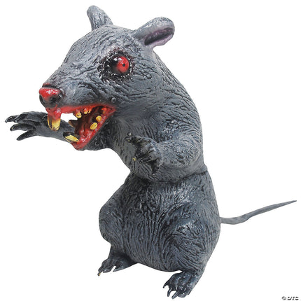 Sitting Evil Rat- top angled view