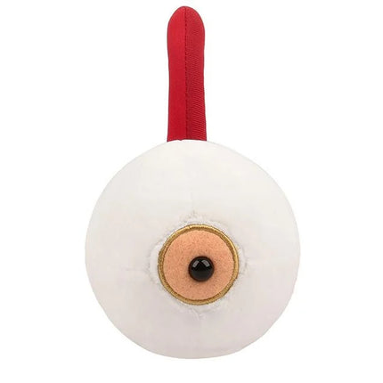 Eye- Front View