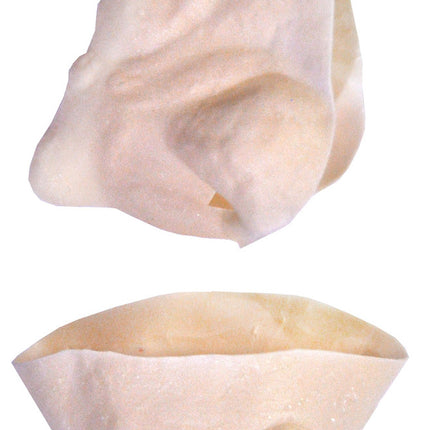 Witch Nose and Chin Kit