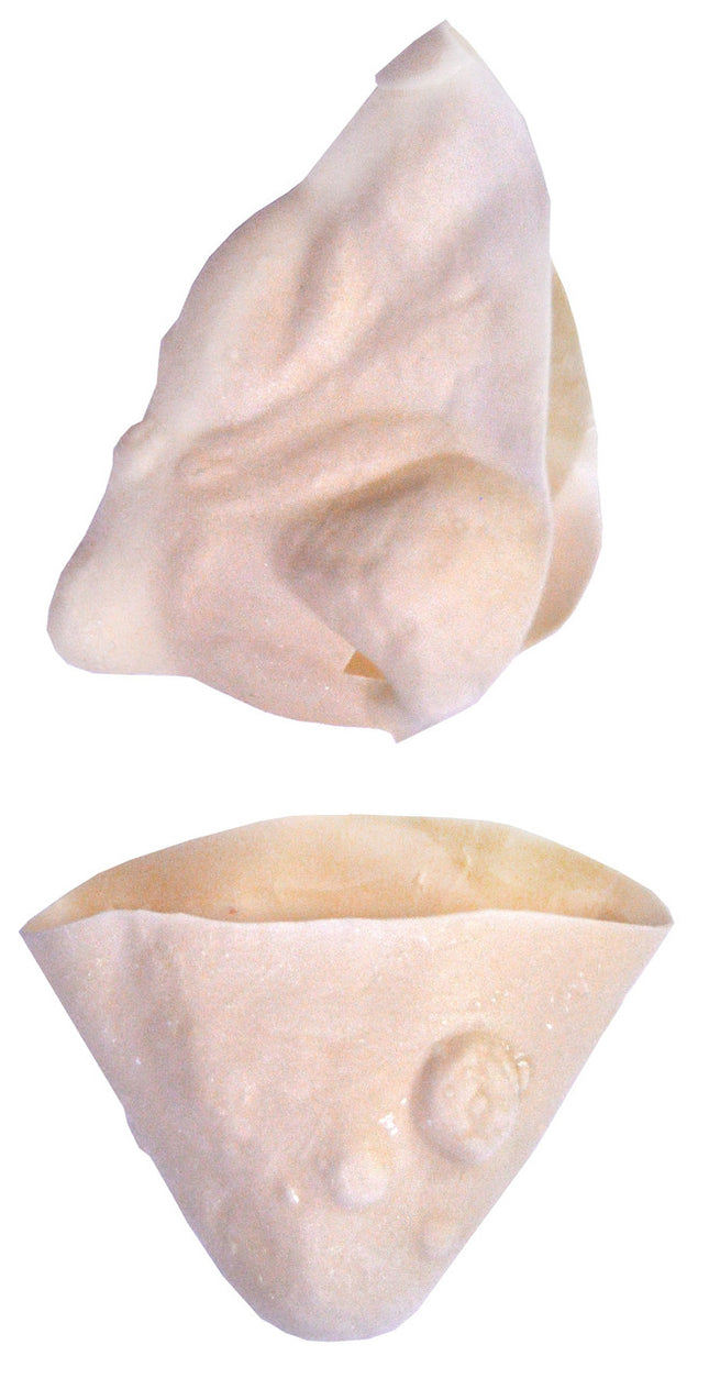 Witch Nose and Chin Kit