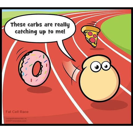 Fat Cell- Comic- Fun Photo