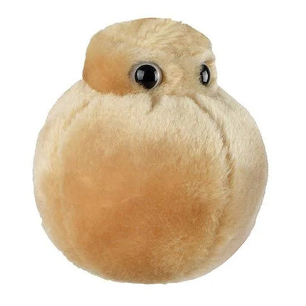 Fat Cell- Angled View