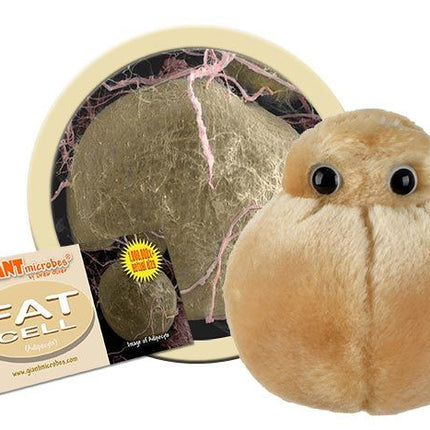 Fat Cell- With Informational Tag