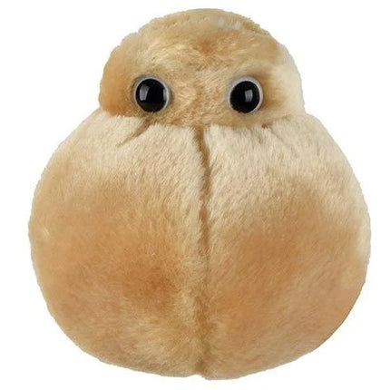 Fat Cell- Front View