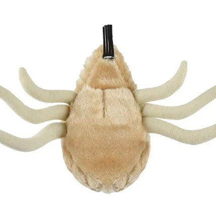 Flea- Bottom View