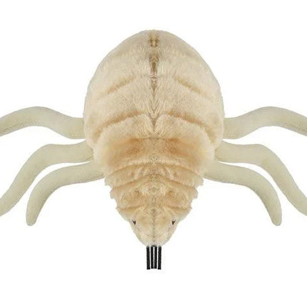 Flea- Front View