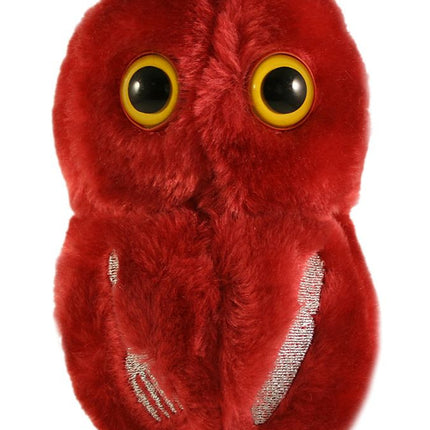 Flesh Eating Streptococcus- Front View