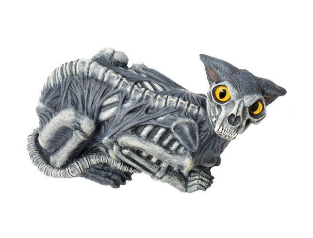 Zombie Cat Prop