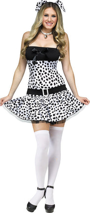 DALMATION ADULT