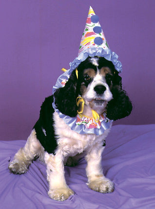 Clown Pet Costume