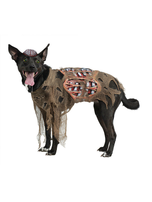 Zombie Dog Costume