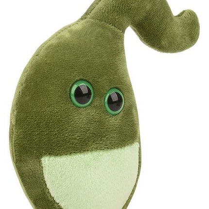 Gallbladder- Original- Angled View