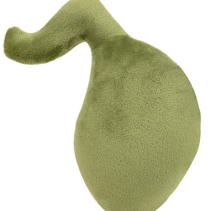 Gallbladder- Original- Back View