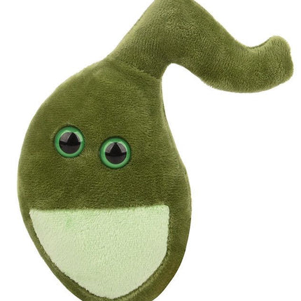 Gallbladder- Original- Front View