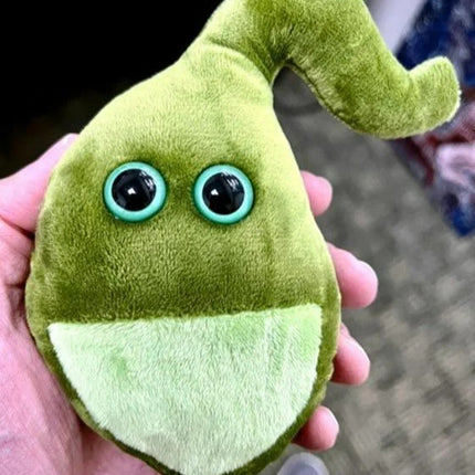 Gallbladder- Original- Held by Model
