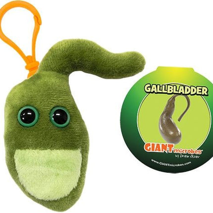 Gallbladder
