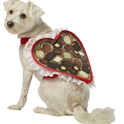 Chocolate Box Costume