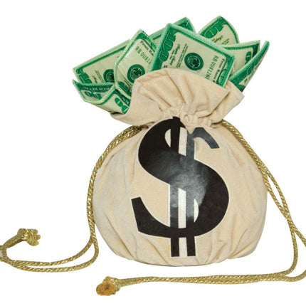 Purse Money Bag
