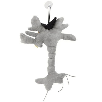 Graduation Brain Cell (Neuron)- Back View