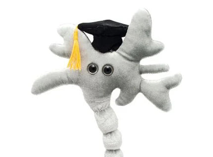 Graduation Brain Cell (Neuron)- Face View