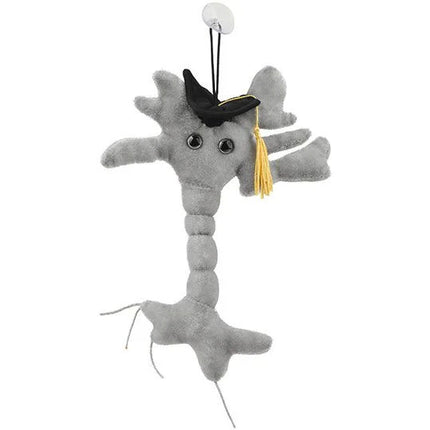 Graduation Brain Cell (Neuron)- Front View