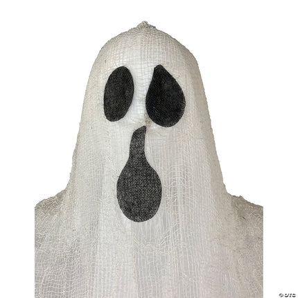 Hanging Ghost- close up