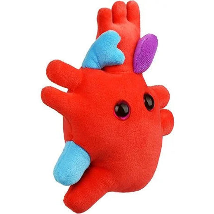 Heart Organ- Angled View