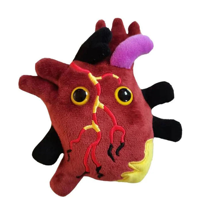 Heart Disease- Front View