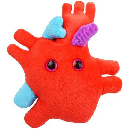 Heart Organ- Front View
