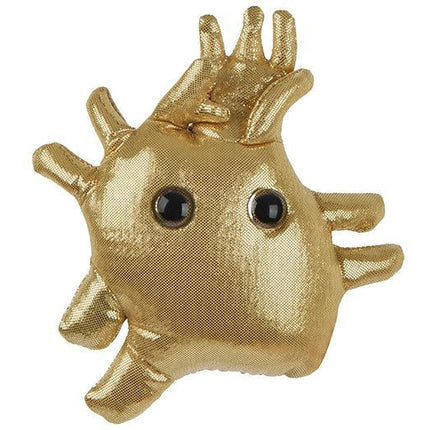 Heart of Gold- Front View