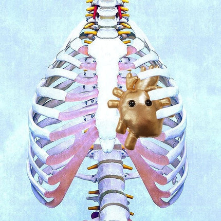 Heart of Gold- in illustrated photo of chest