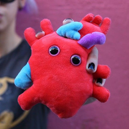 Heart Organ- Held by Model